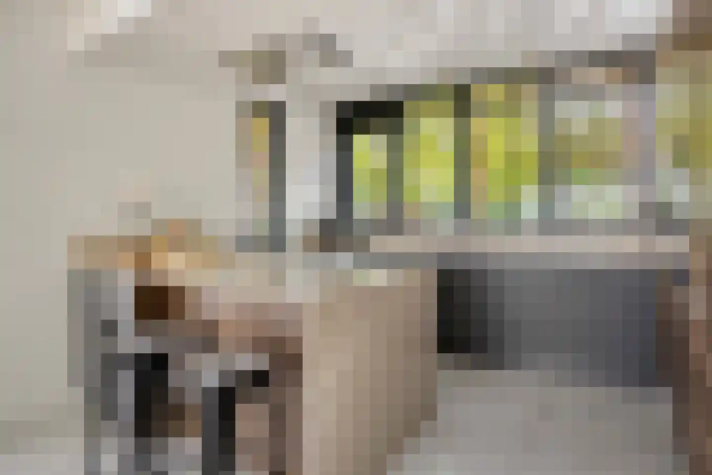 Boomgaard 53 Aalsmeer thumbnail 9