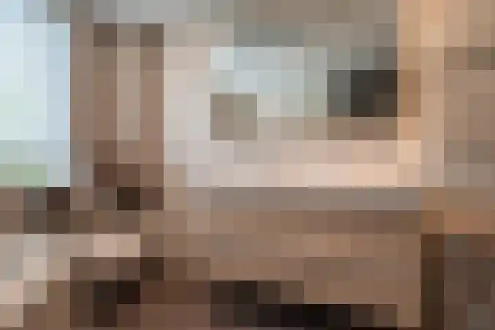 Boomgaard 56 Hoogezand thumbnail 32