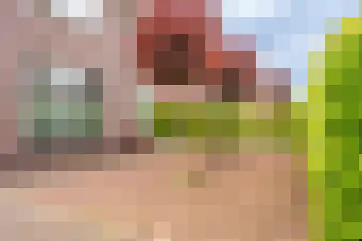 Boomgaard 56 Hoogezand thumbnail 39