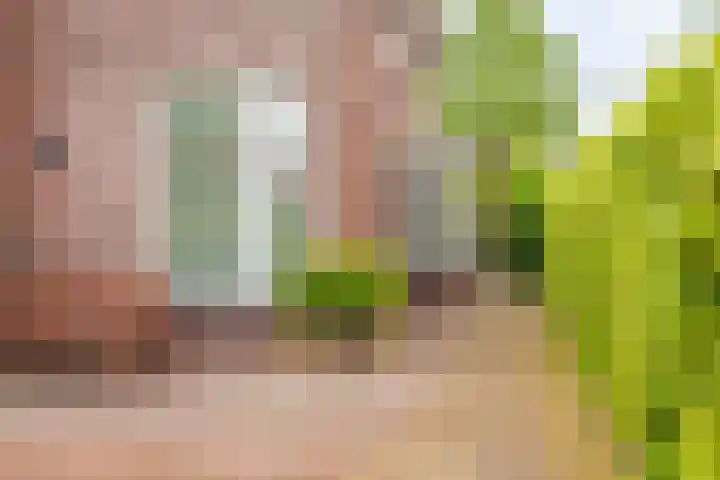 Boomgaard 56 Hoogezand thumbnail 41