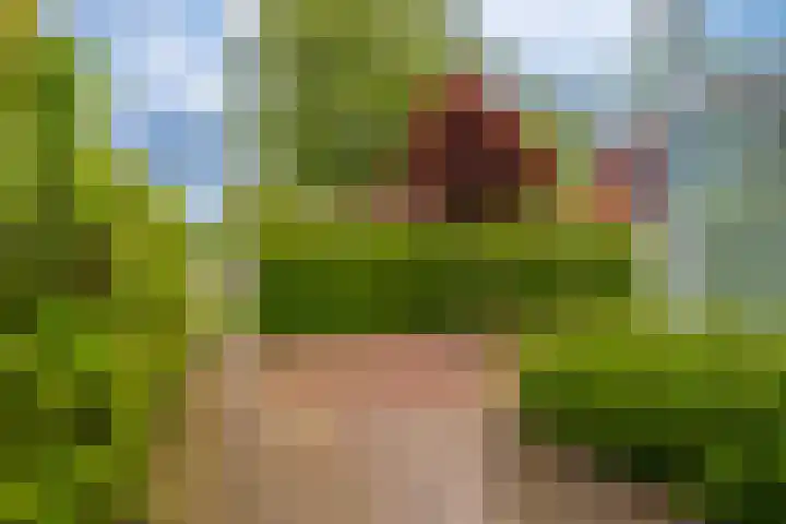 Boomgaard 56 Hoogezand thumbnail 42