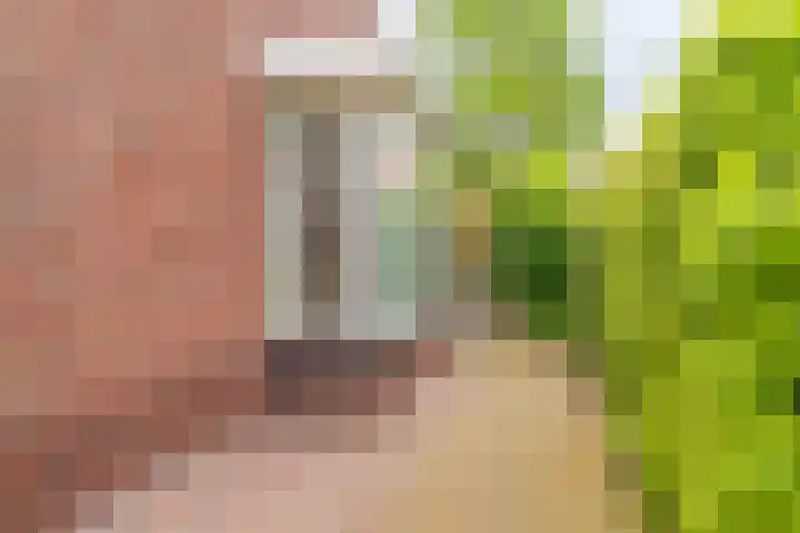 Boomgaard 56 Hoogezand thumbnail 43