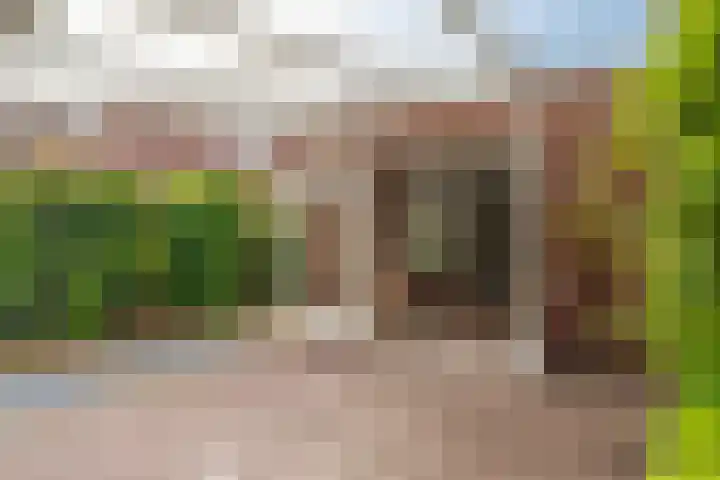 Boomgaard 56 Hoogezand thumbnail 45