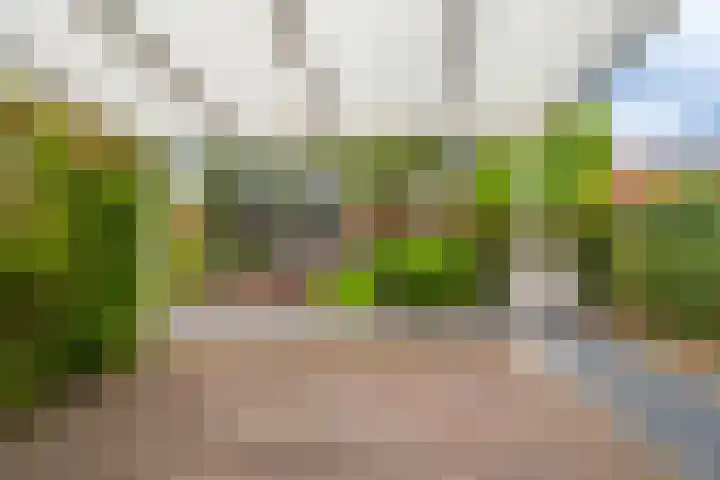 Boomgaard 56 Hoogezand thumbnail 46