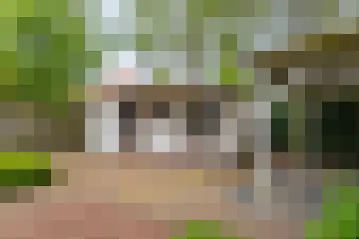 Boomgaard 56 Hoogezand thumbnail 48