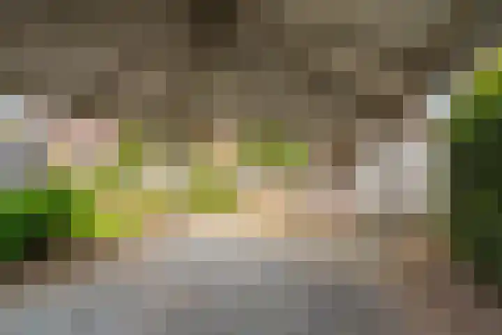 Boomgaard 56 Hoogezand thumbnail 49