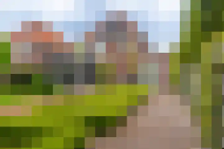 Boomgaard 56 Hoogezand thumbnail 50