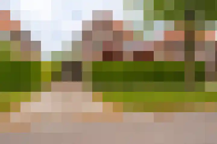 Boomgaard 56 Hoogezand thumbnail 51