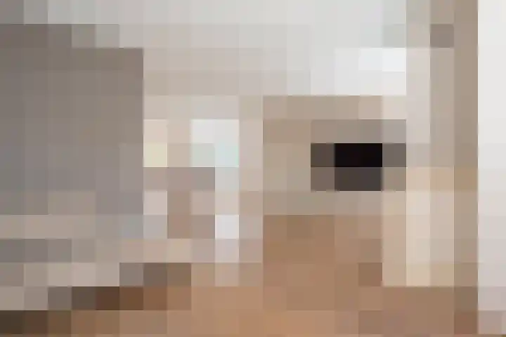 Boomgaard 56 Hoogezand thumbnail 7