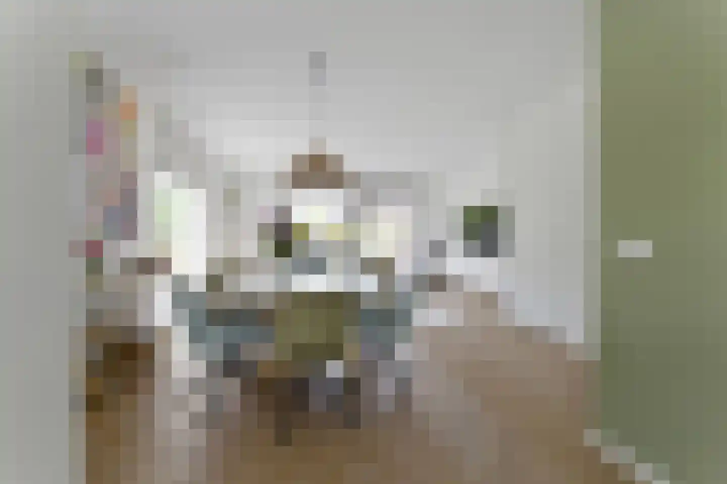 Boomgaard 57 Rijswijk thumbnail 11