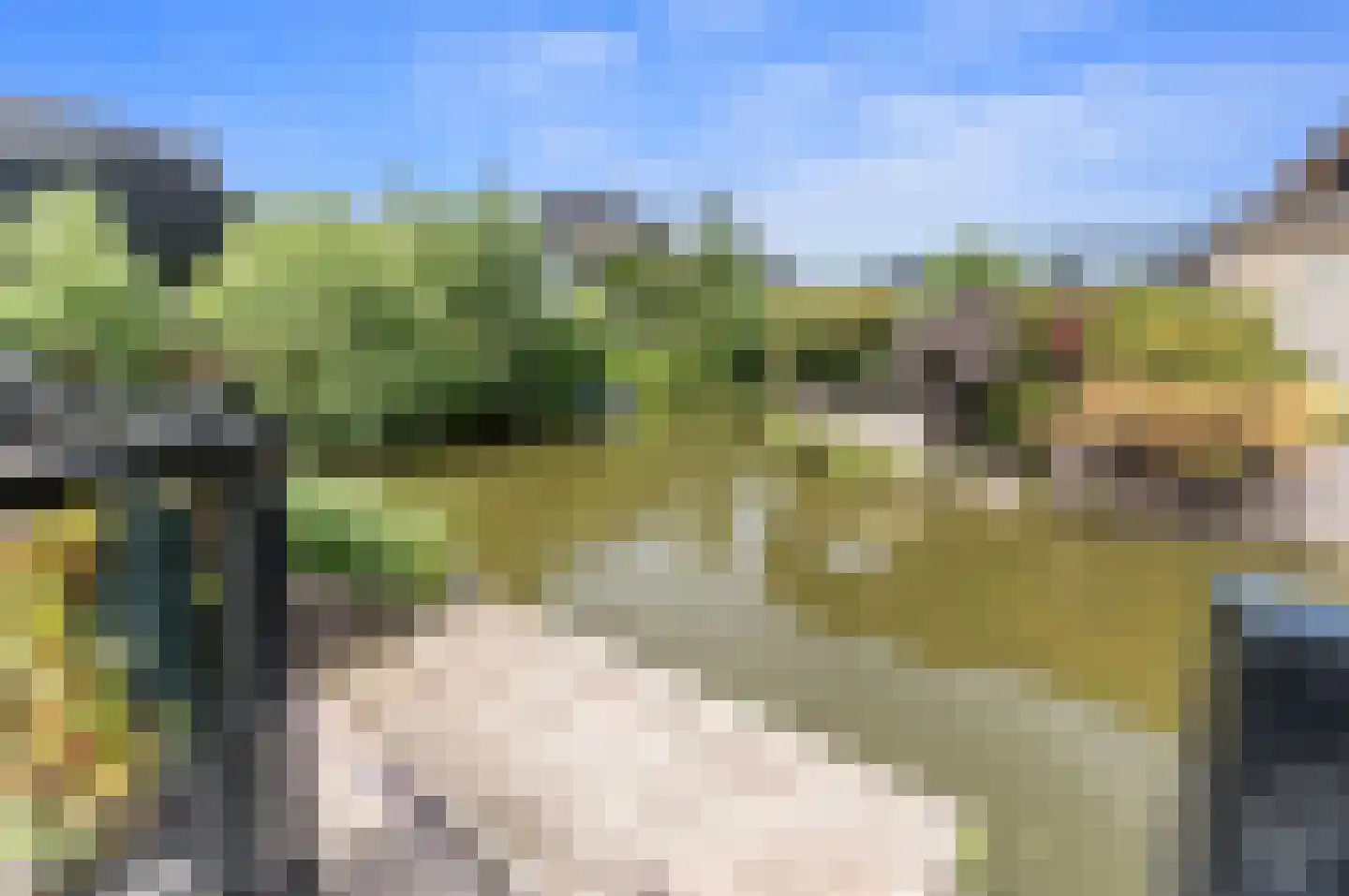 Boomgaard 57 Rijswijk thumbnail 20