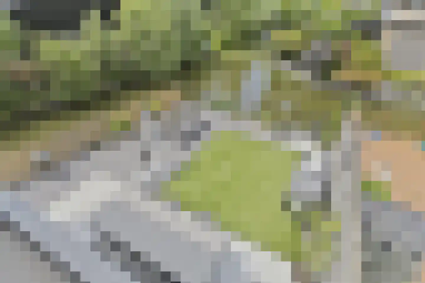 Boomgaard 57 Rijswijk thumbnail 29