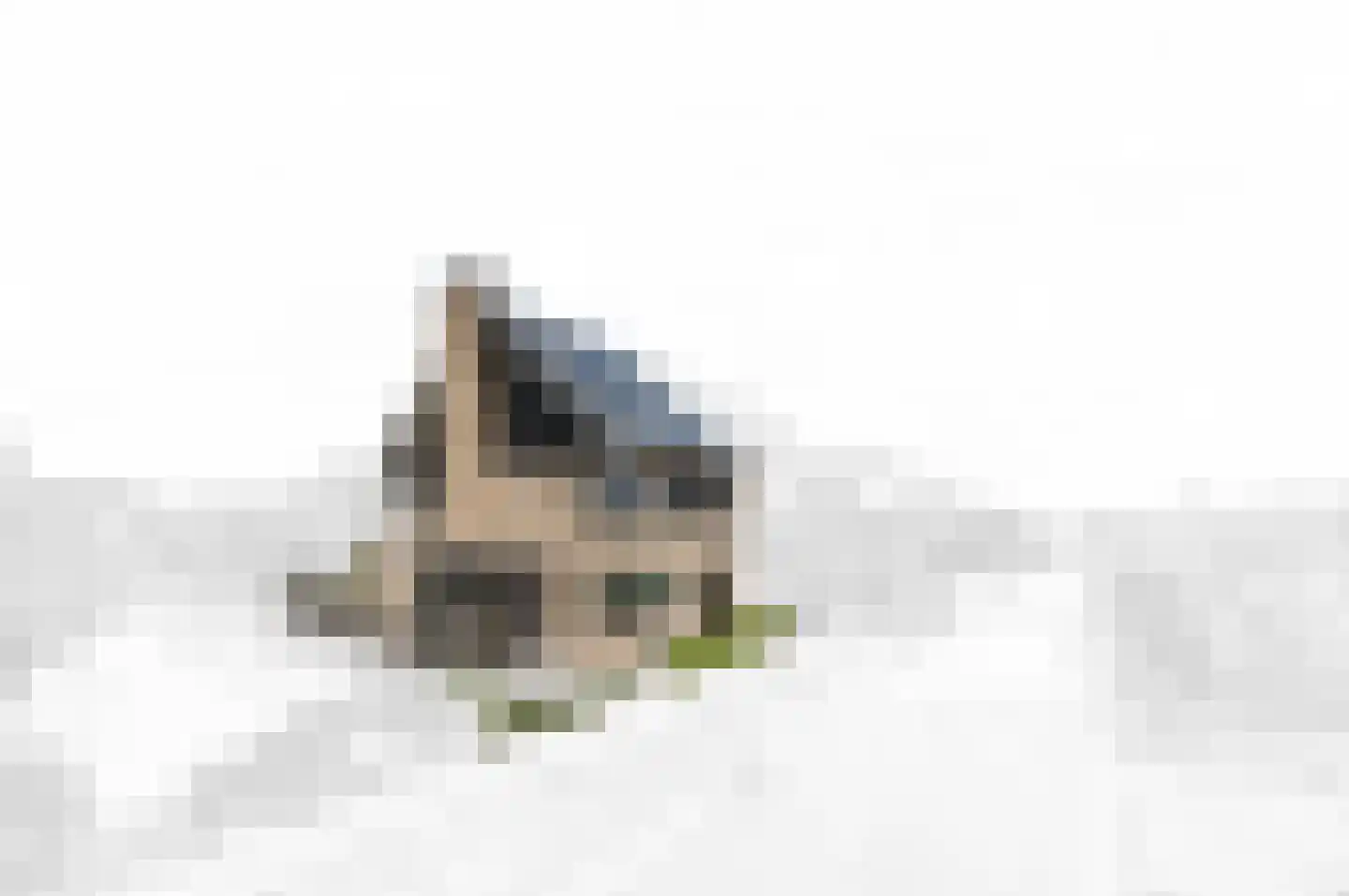 Boomgaard 57 Rijswijk thumbnail 4