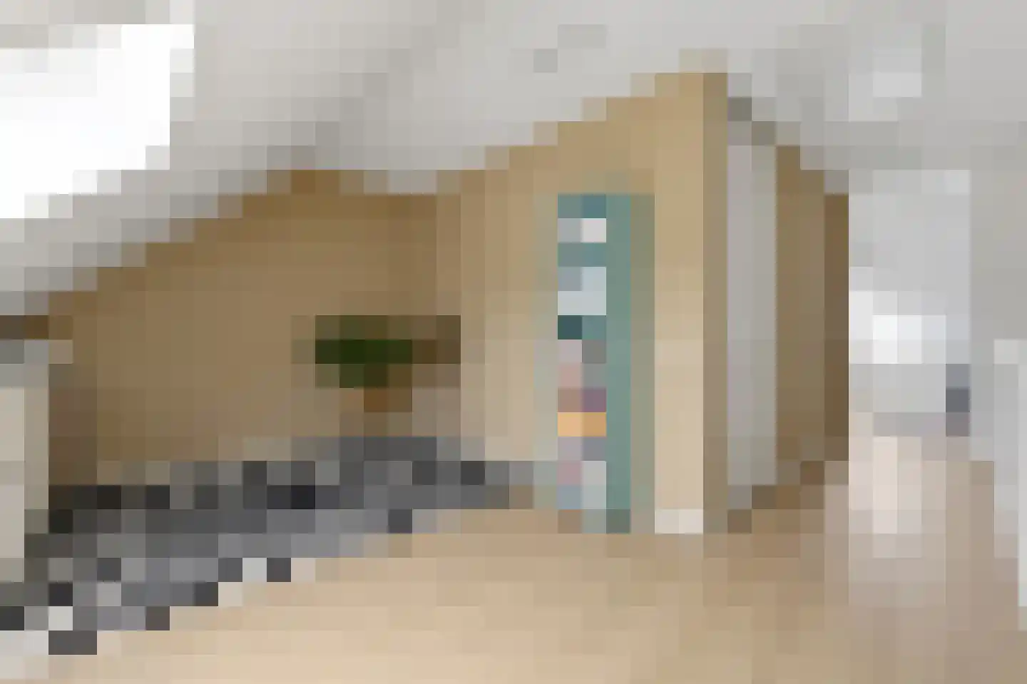 Boomgaard 57 Rijswijk thumbnail 43