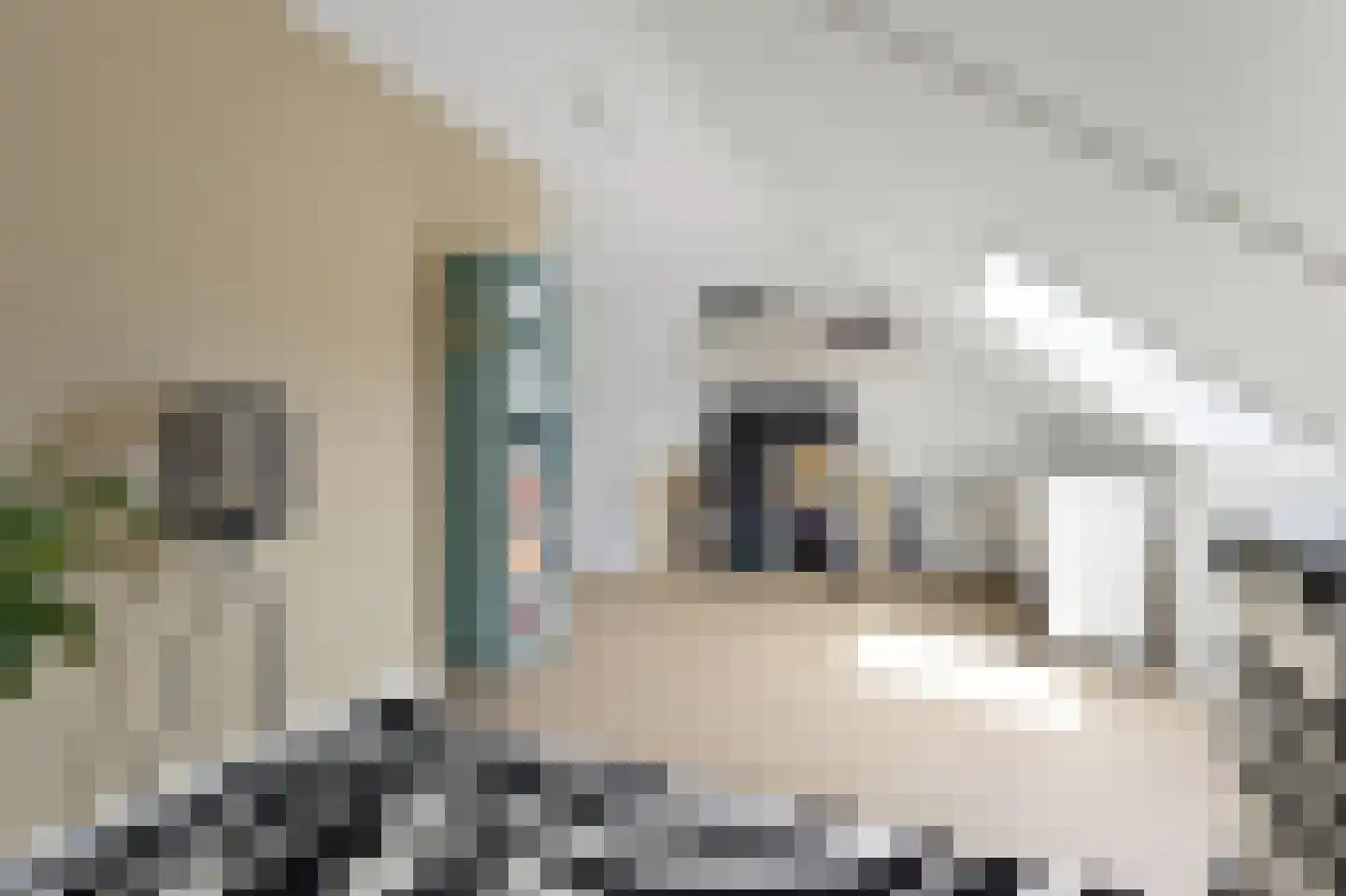 Boomgaard 57 Rijswijk thumbnail 45