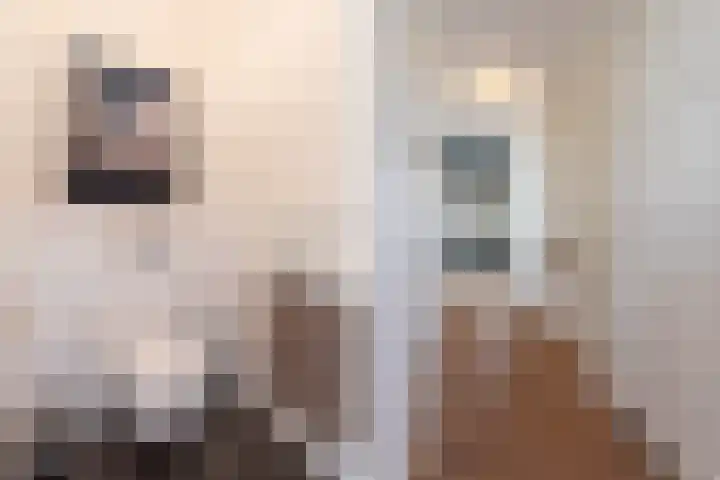 Boomgaard 70 Rijswijk thumbnail 38