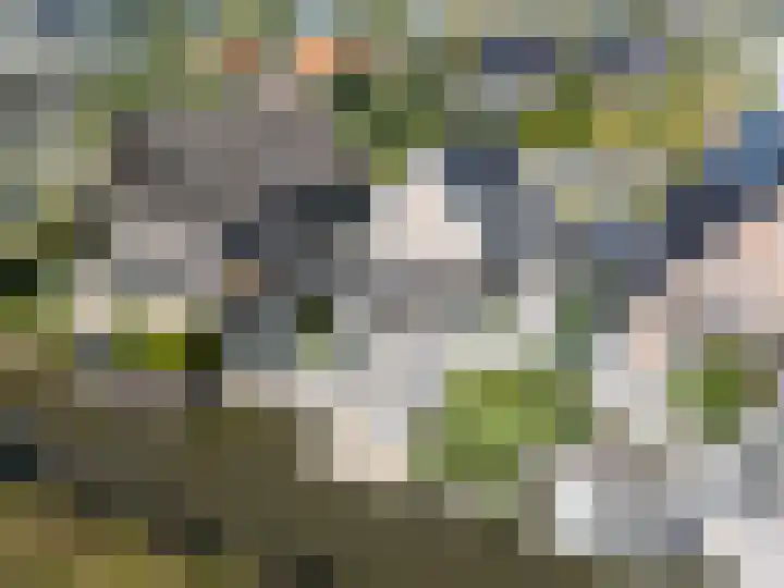 Boomgaard 70 Rijswijk thumbnail 51