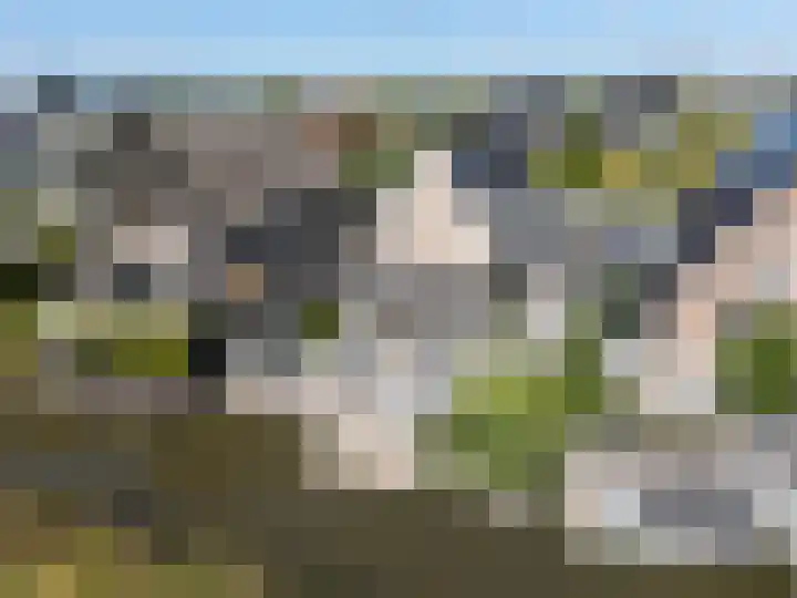 Boomgaard 70 Rijswijk thumbnail 52