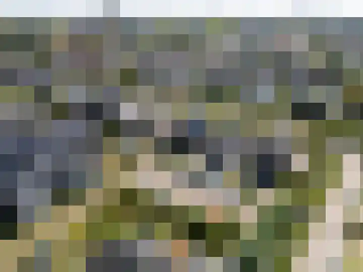 Boomgaard 70 Rijswijk thumbnail 53