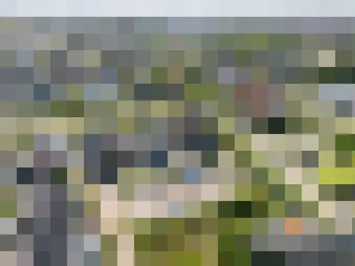 Boomgaard 70 Rijswijk thumbnail 54
