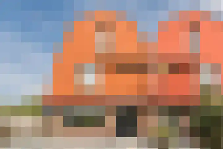 Boomgaard 75 Aalsmeer thumbnail 12