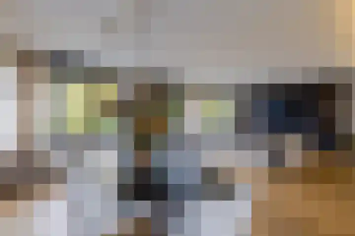 Boomgaard 75 Aalsmeer thumbnail 22