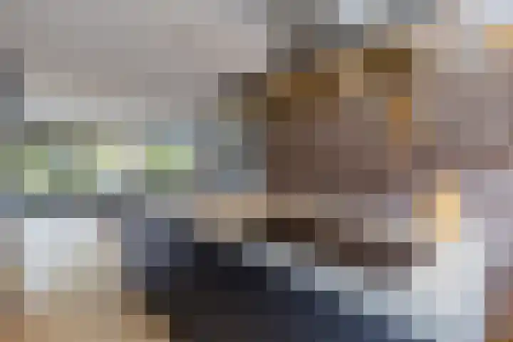 Boomgaard 75 Aalsmeer thumbnail 4