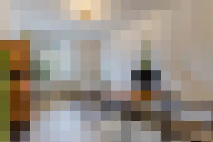 Boomgaard 75 Aalsmeer thumbnail 5