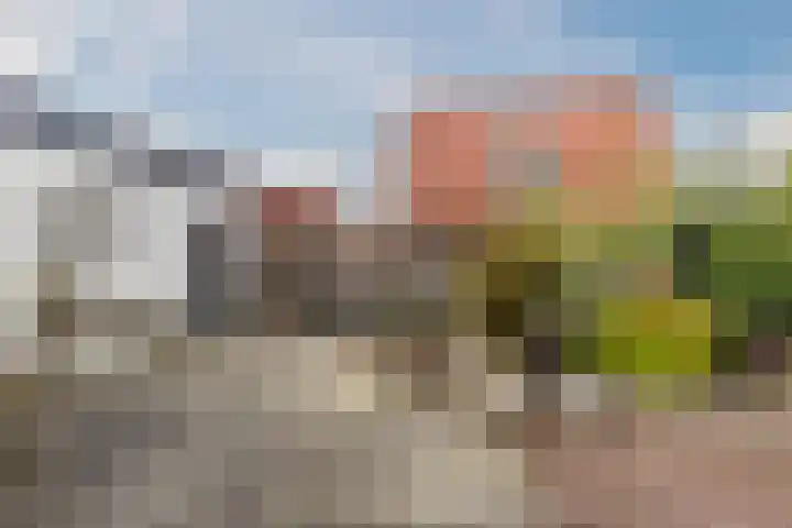 Boomgaard 75 Aalsmeer thumbnail 50