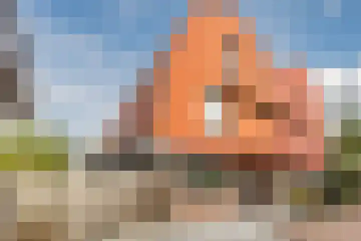 Boomgaard 75 Aalsmeer thumbnail 53