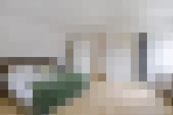 Boomgaard 75 Aalsmeer thumbnail 8