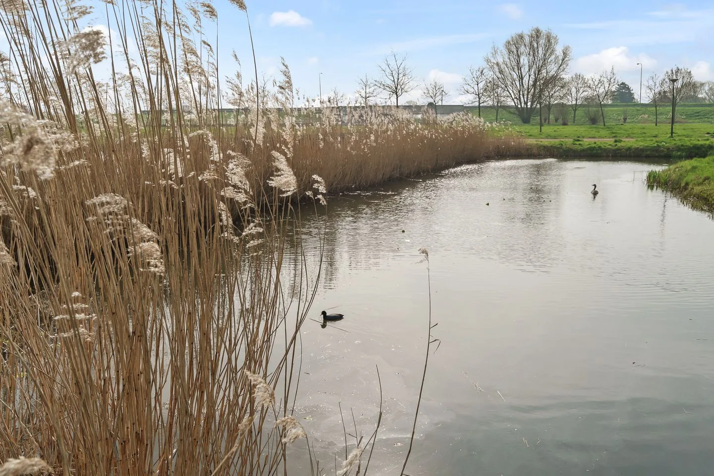 Boomgaard 8 IJsselstein thumbnail 70