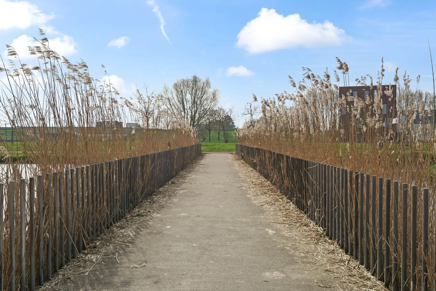 Boomgaard 8 IJsselstein thumbnail 71
