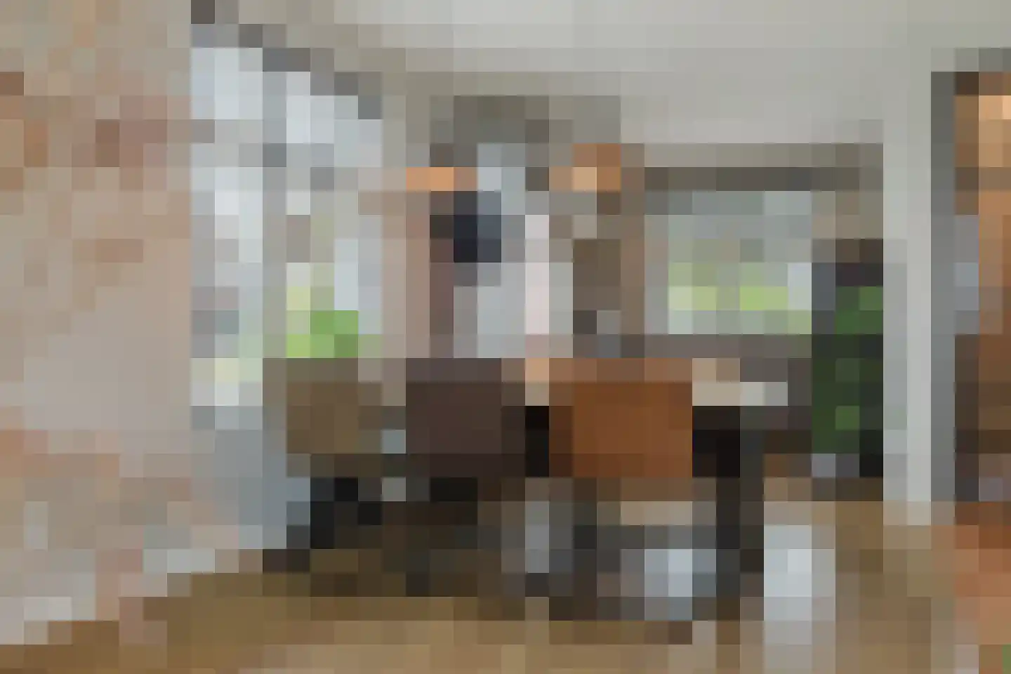 Boomgaard 8 Zundert thumbnail 10