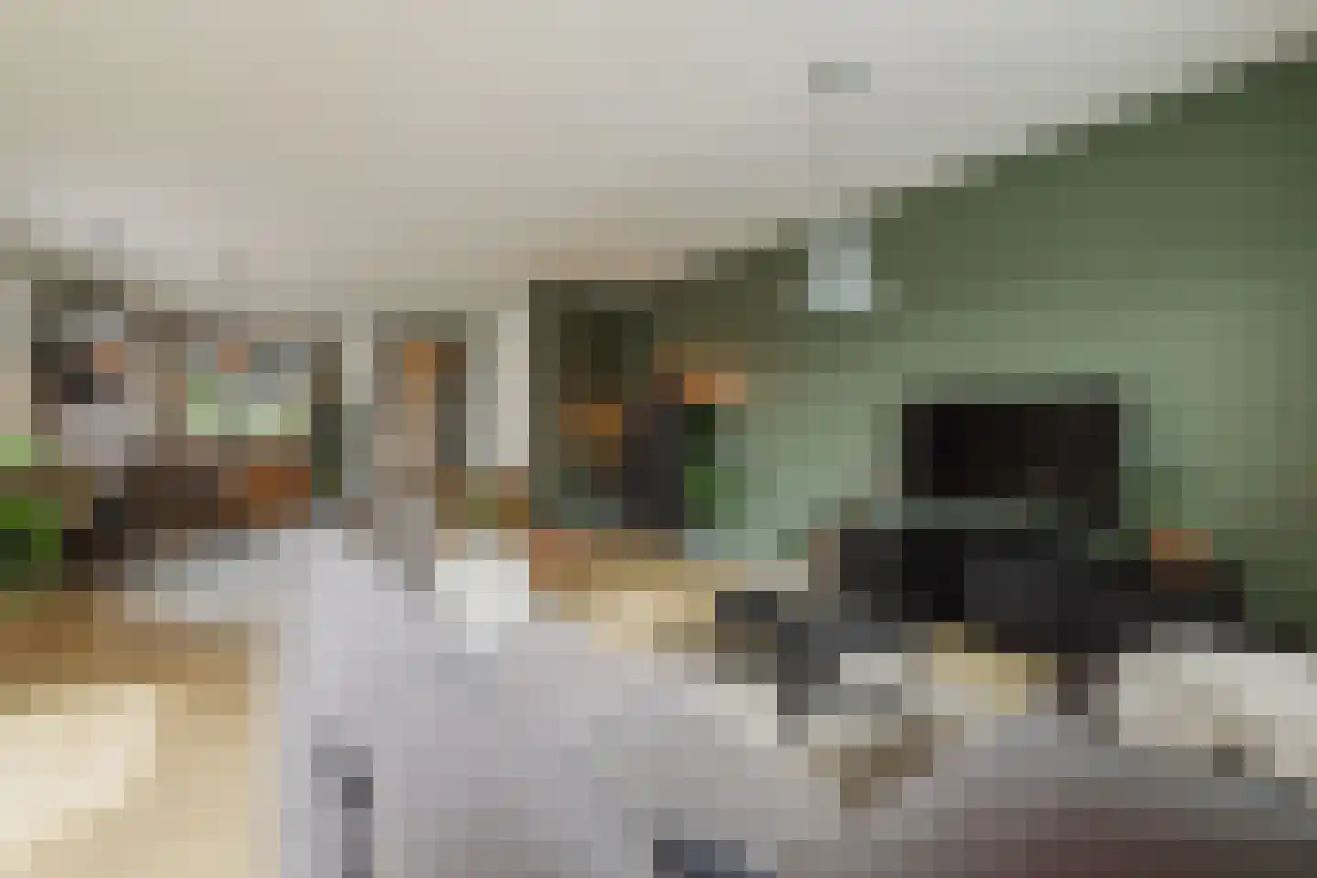 Boomgaard 8 Zundert thumbnail 22
