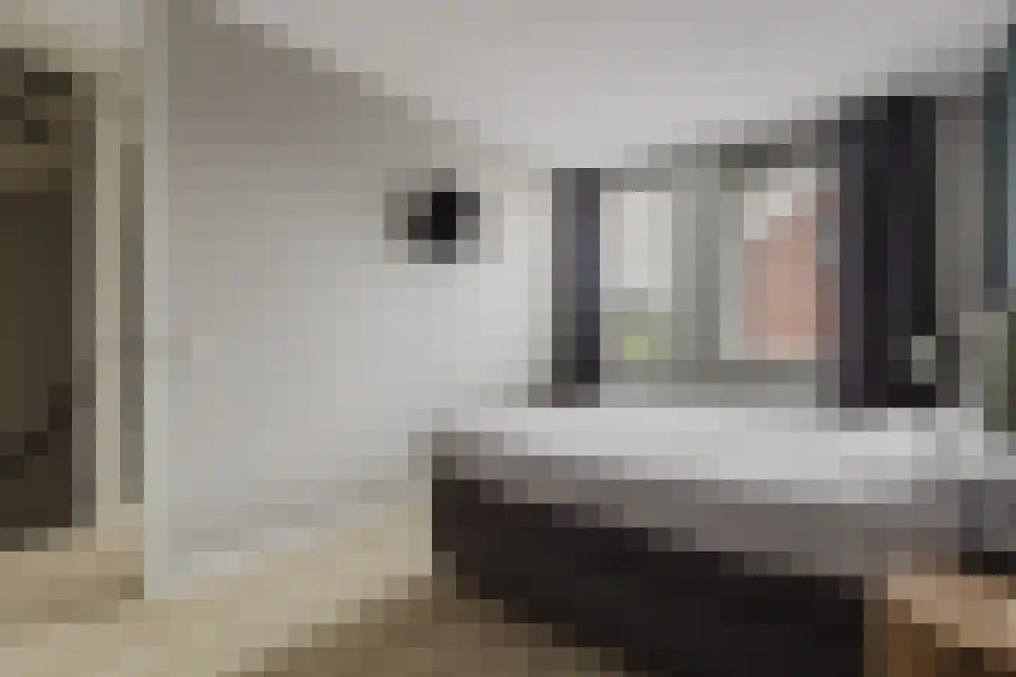 Boomgaard 8 Zundert thumbnail 27