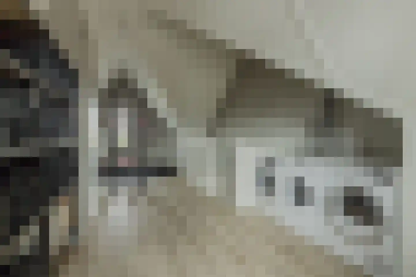 Boomgaard 8 Zundert thumbnail 35