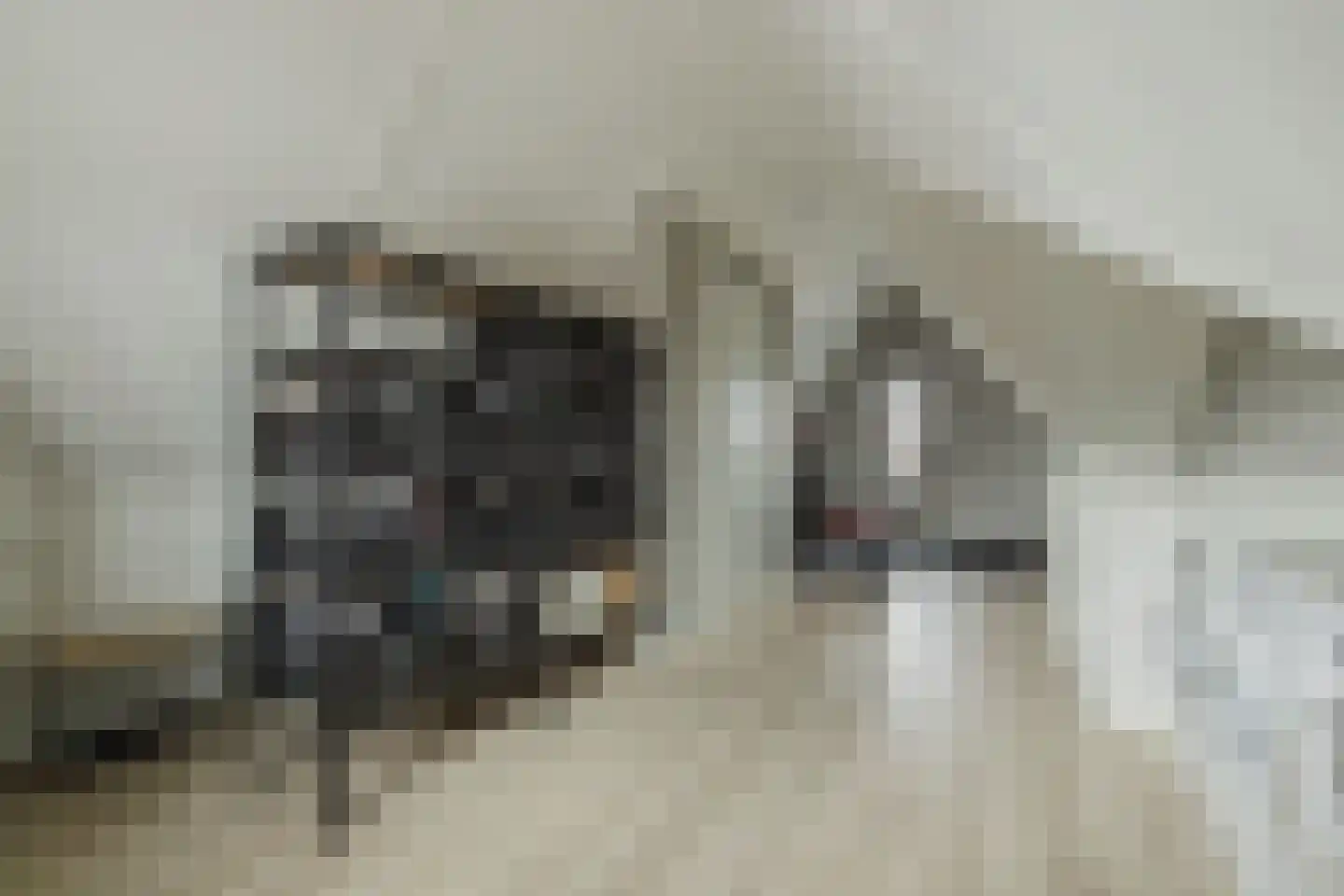 Boomgaard 8 Zundert thumbnail 36