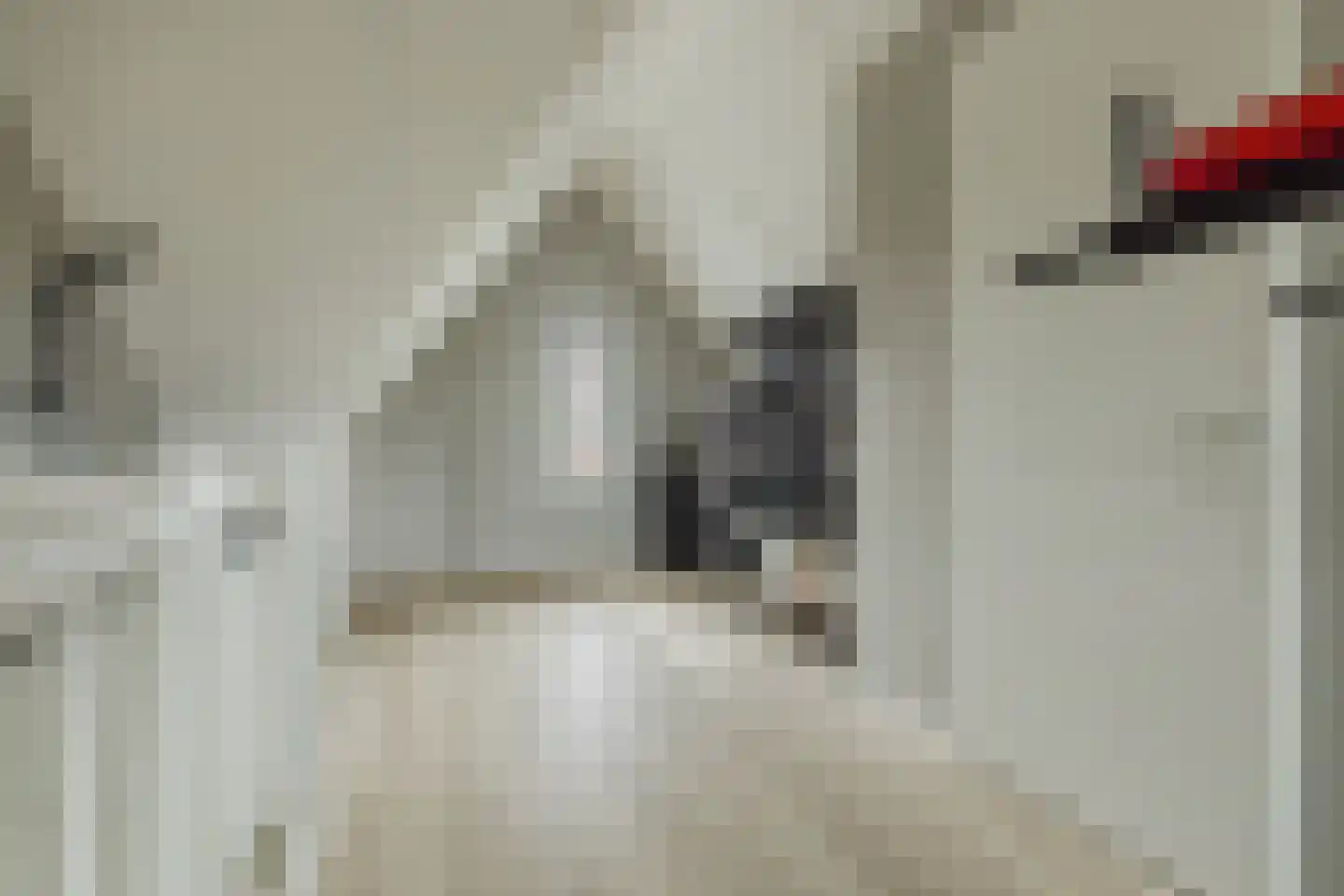 Boomgaard 8 Zundert thumbnail 37