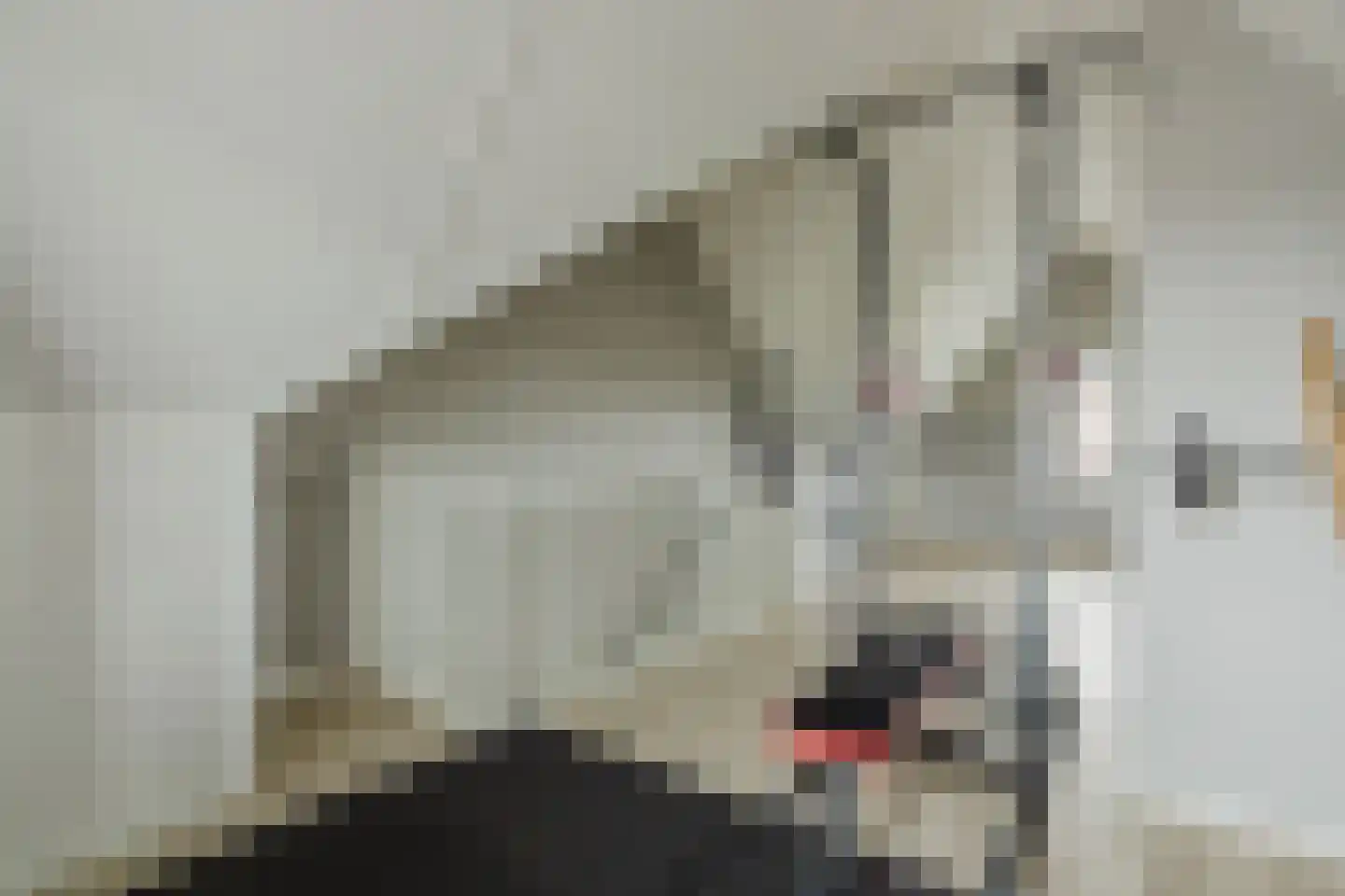 Boomgaard 8 Zundert thumbnail 38
