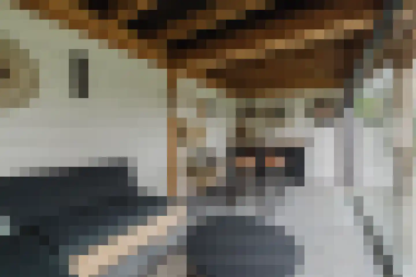Boomgaard 8 Zundert thumbnail 45