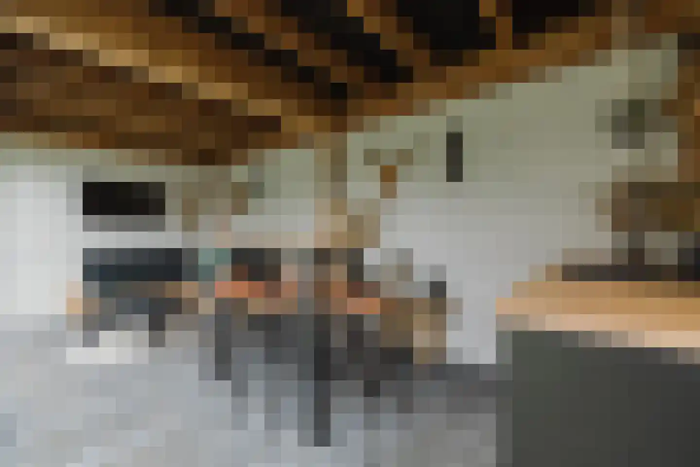 Boomgaard 8 Zundert thumbnail 46