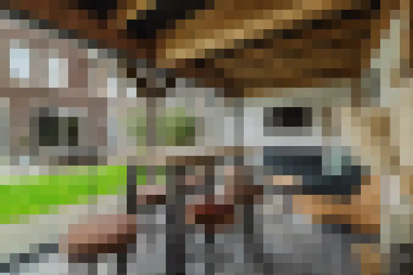 Boomgaard 8 Zundert thumbnail 50