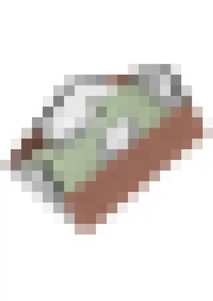 Boomgaard 8 Zundert thumbnail 60