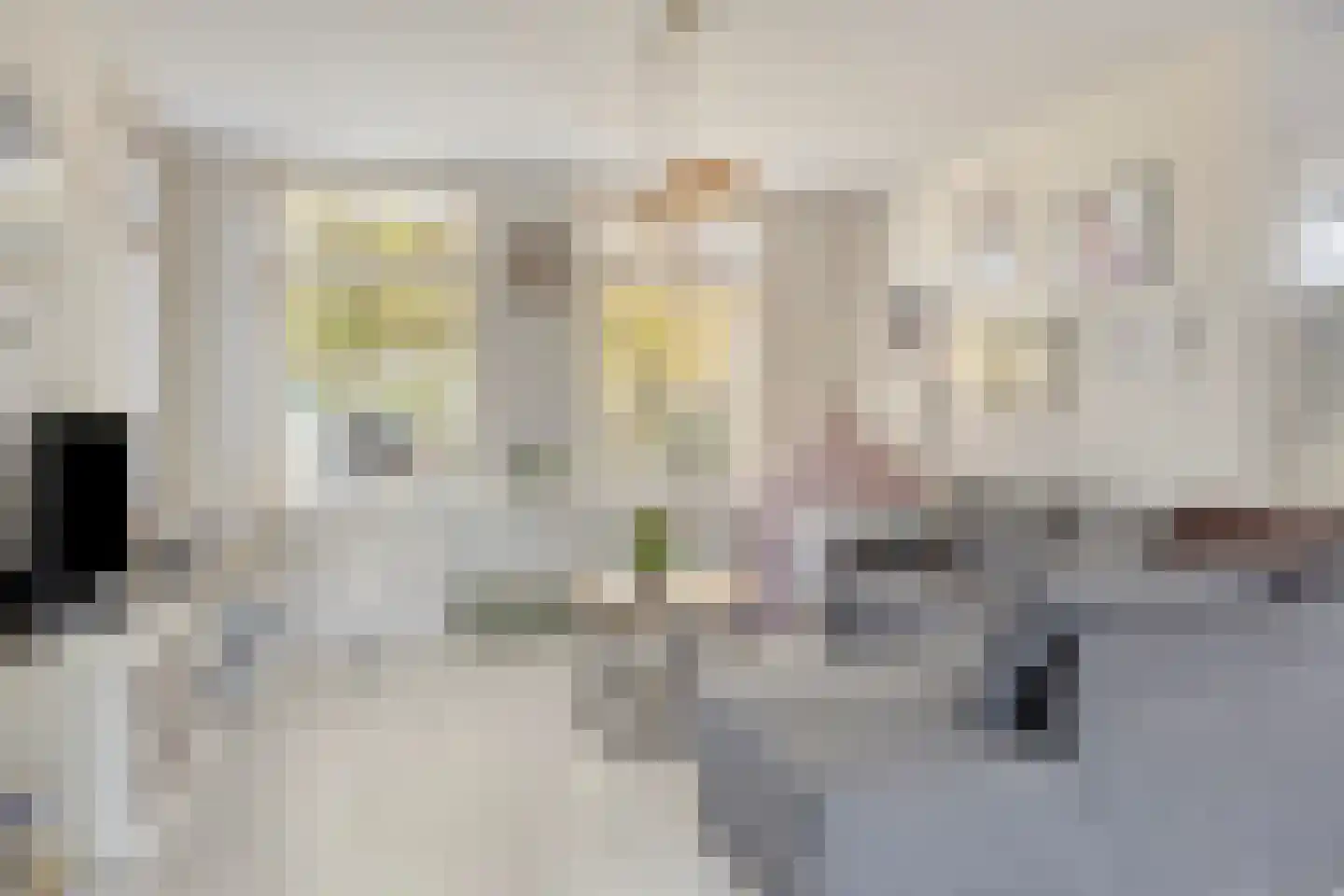 Boomgaarddreef 22 Stad aan 't Haringvliet thumbnail 12
