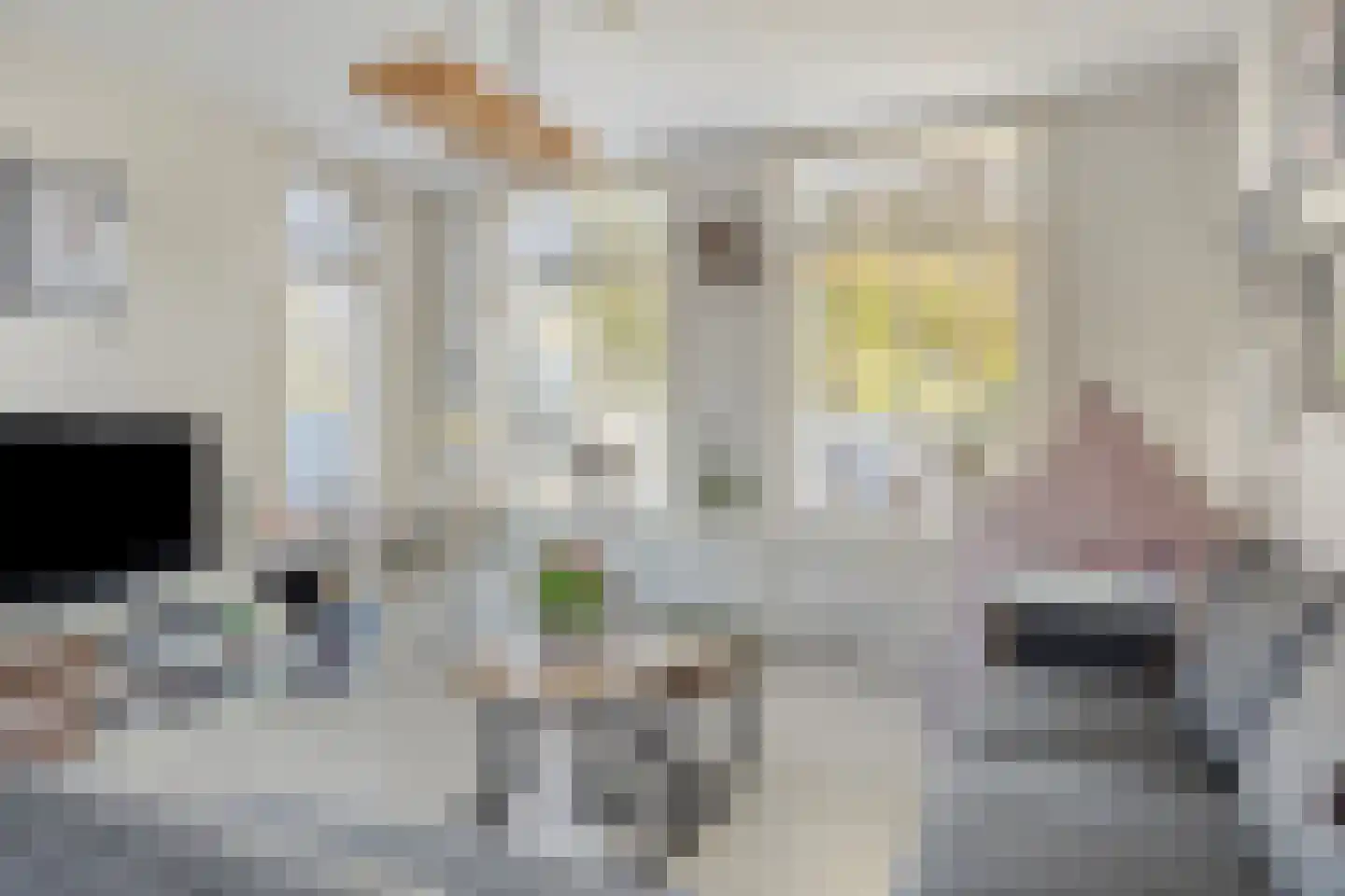 Boomgaarddreef 22 Stad aan 't Haringvliet thumbnail 13