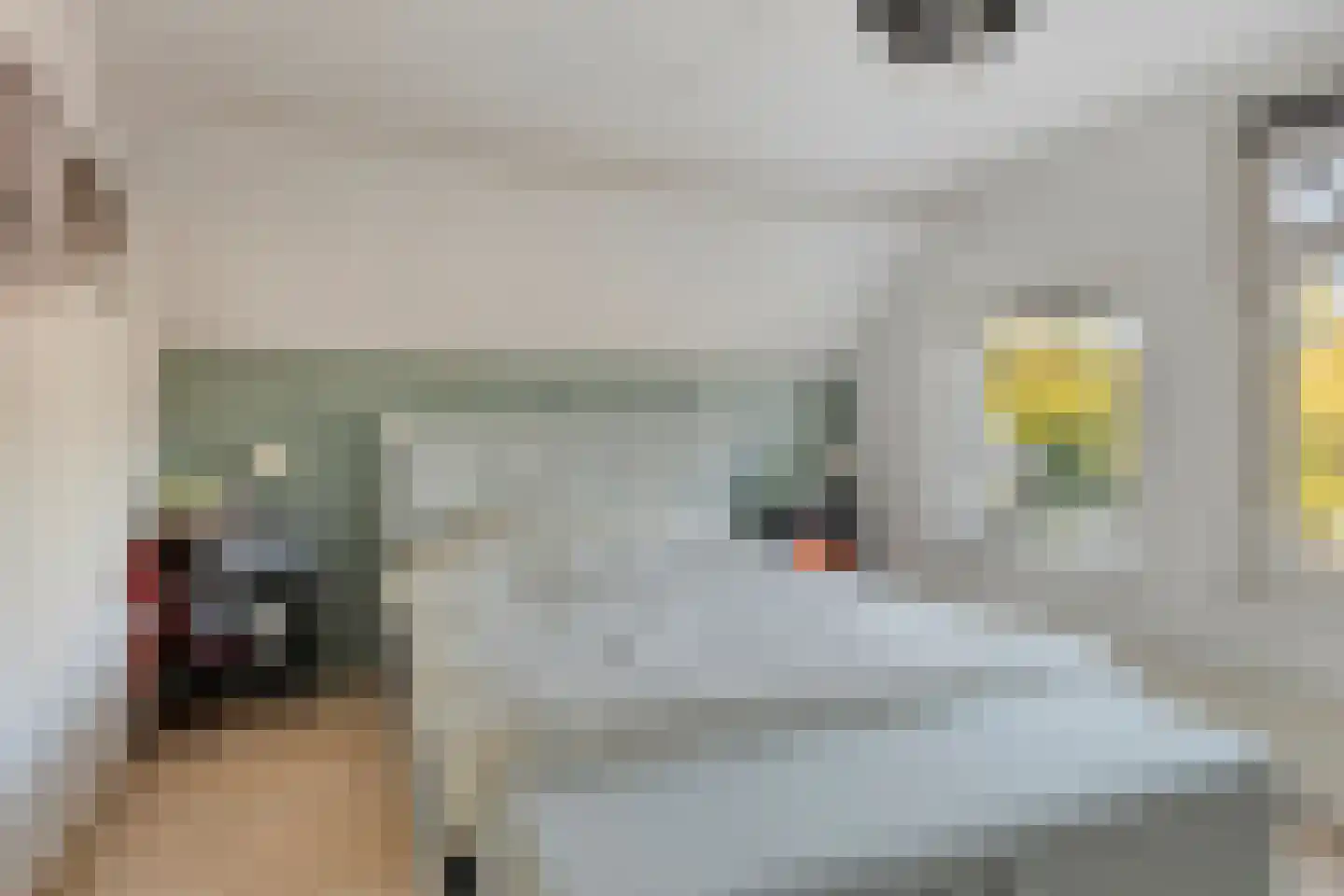 Boomgaarddreef 22 Stad aan 't Haringvliet thumbnail 25