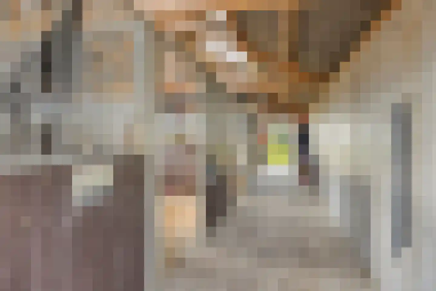 Boomgaarddreef 22 Stad aan 't Haringvliet thumbnail 29
