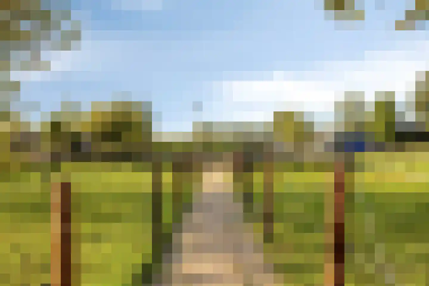 Boomgaarddreef 22 Stad aan 't Haringvliet thumbnail 31