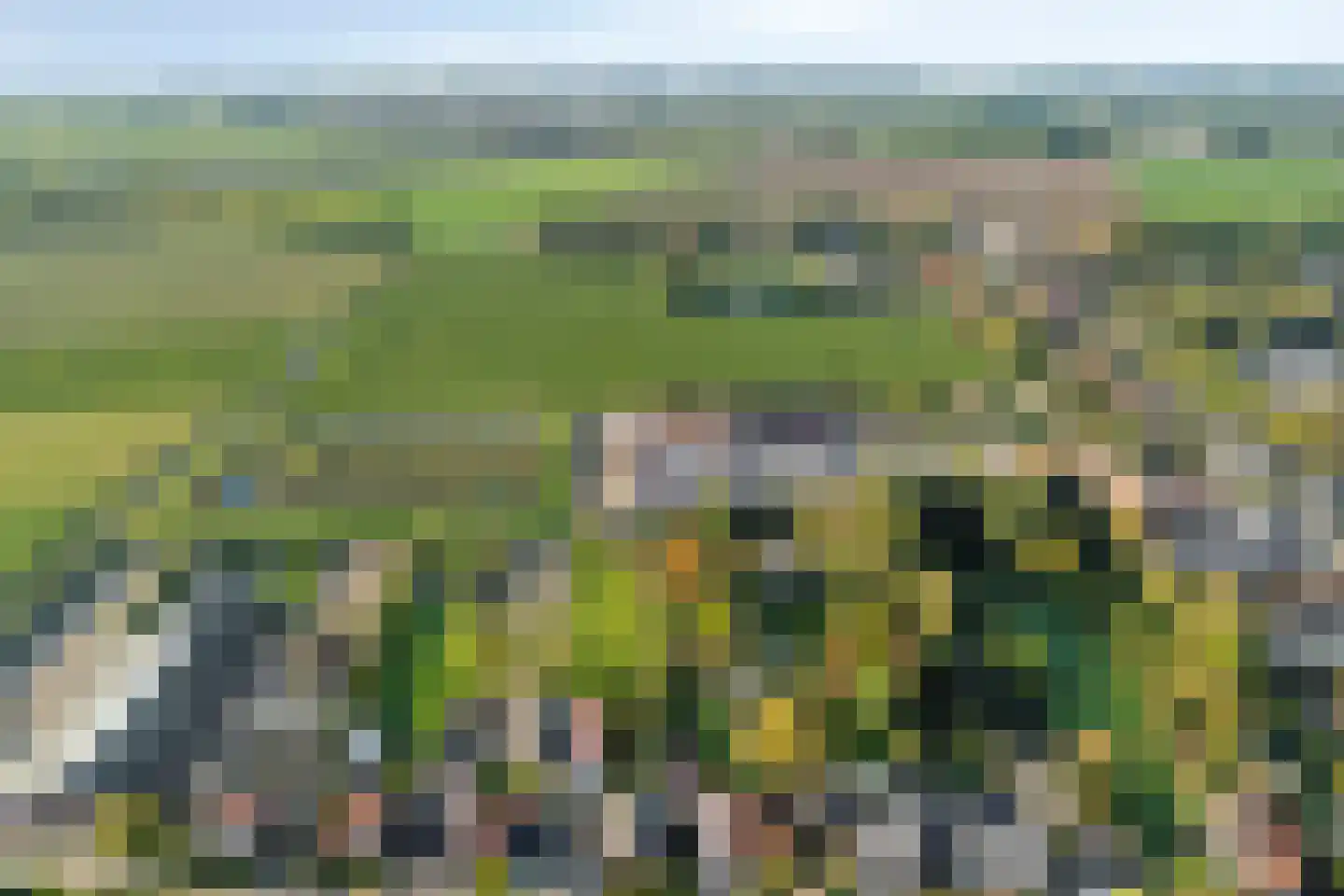 Boomgaarddreef 22 Stad aan 't Haringvliet thumbnail 37